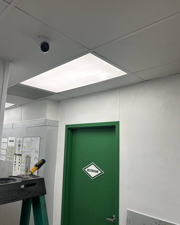 Restroom corridor with painted door and new lighting
